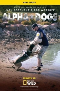 Собаки альфа/Alpha Dogs