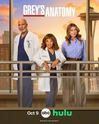 Анатомия страсти/Grey's Anatomy 22 сезон