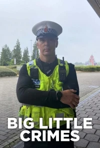 Большие маленькие преступления/Big Little Crimes 2 сезон
