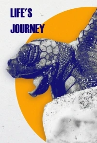 Путешествие жизни/Life's Journey