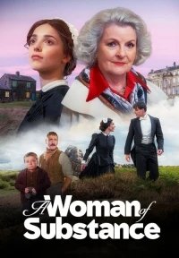 Состоятельная женщина/A Woman of Substance