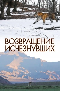 Возвращение исчезнувших/The Return
