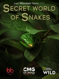 Тайный мир змей/The Hidden World of Snakes