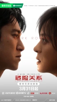 Темный роман/The Dark Romance