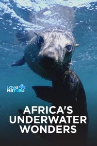 Африканские подводные чудеса/Africa's Underwater Wonders
