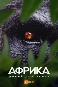 Африка Дикий дом Земли/Africa Earth's Wild Home